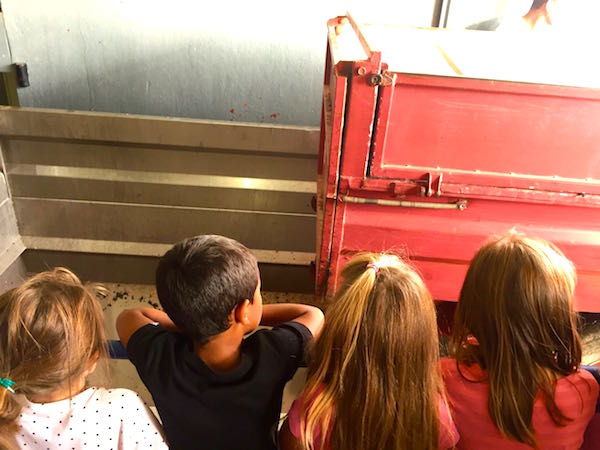 Vendanges des enfants à Séguret