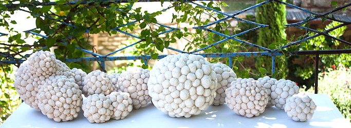 Oeuvre de l'artiste Patricia Meffre