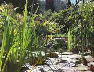 Donasalae Services - D. Naud à Séguret