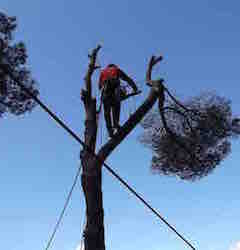 Donasalae Services - D. Naud à Séguret