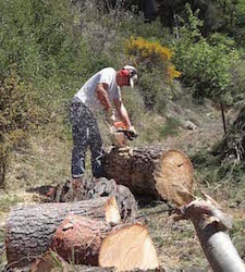 Donasalae Services - D. Naud à Séguret