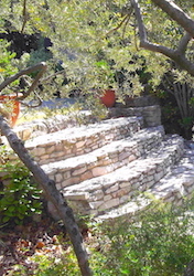 Donasalae Services - D. Naud à Séguret