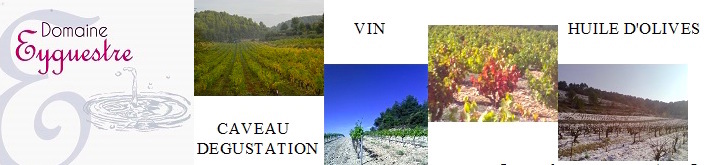 Huile d'olive domaine Eyguestre à Séguret