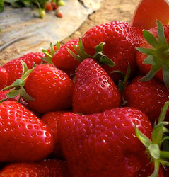 Fraises Jouven
