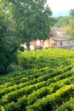 Se loger à Séguret en Provence, hôtellerie, auberge, gîtes, maisons d'hôtes...