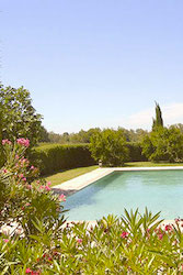 Chambres d'hôtes Le vieux figuier vue de la piscine