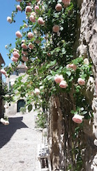 Les Glaces  d'Eglantine