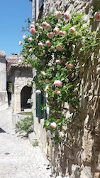 Salon de thé La Maison d'Eglantine