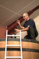 Vasco Perdigao du Domaine Chamfort