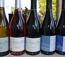 Domaine de la Fontaine des fées : les vins
