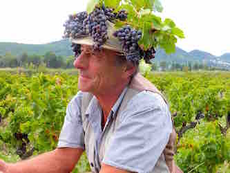 Domaine Jean David à  Séguret
