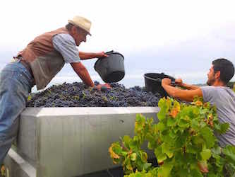 Domaine Jean David à  Séguret