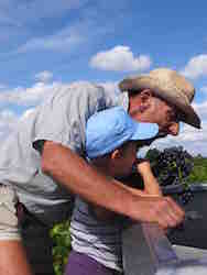 Domaine Jean David à  Séguret