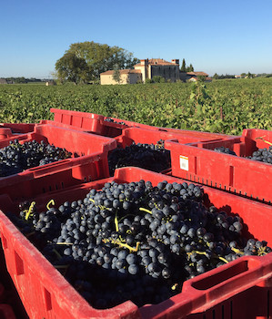 Château Jonquier à Séguret