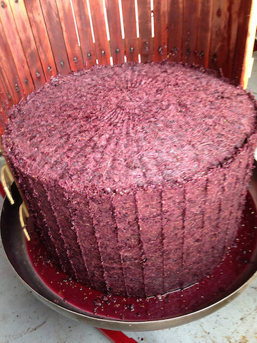 Château Jonquier à Séguret