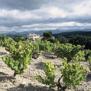 Vignobles de Séguret